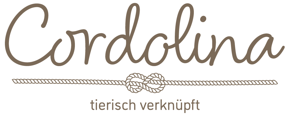 logo-web-1000