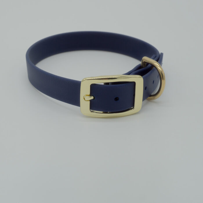 Trainer Halsband
